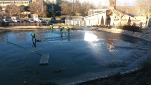 El Ayuntamiento de Las Rozas culmina la limpieza de los lagos del Parque París