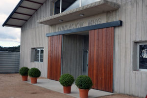 Fundacion MHG