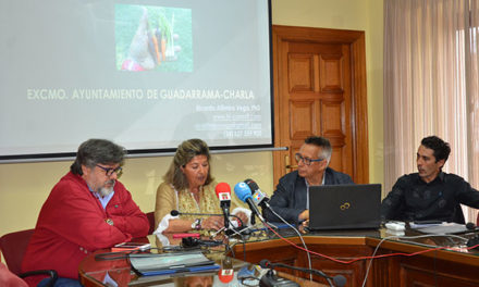 Chef-Valo, emprendimiento social con agricultura ecológica