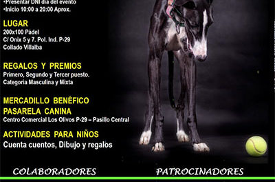 Juega&Adopta, un torneo de pádel y una jornada de adopción