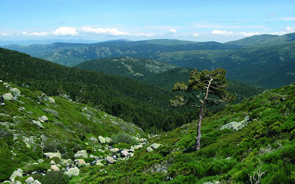 La UNESCO amplía la Reserva de la Biosfera de la Cuenca Alta del Manzanares