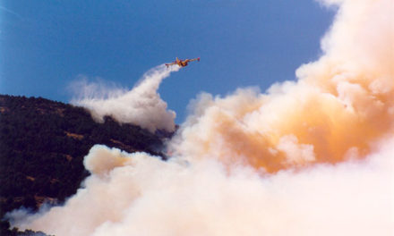 Veinte años del incendio del Monte Abantos