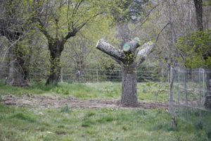 geriátrico en Guadarrama