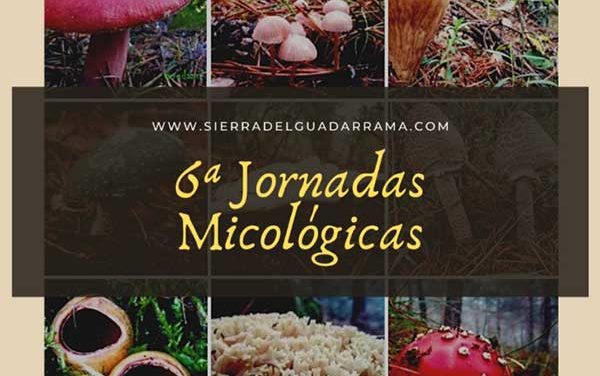 Jornadas micológicas en la Sierra de Guadarrama