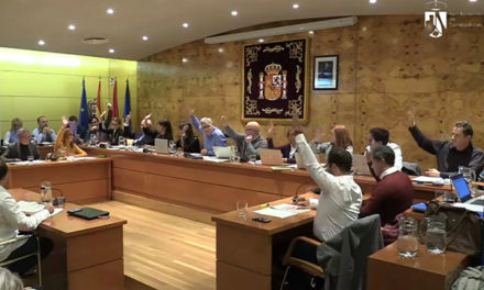 Pleno en Torrelodones con la reactivación de la economía local como foco