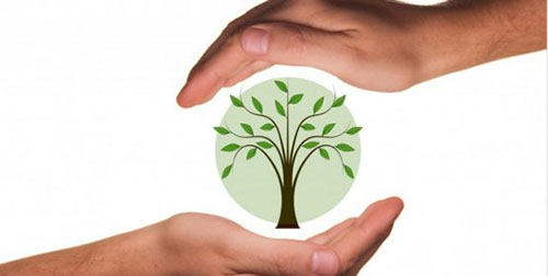 Jornadas de educación medioambiental en Alpedrete