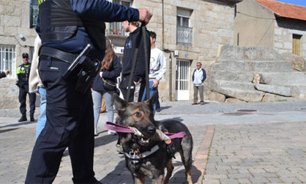 La Unidad canina de Collado Villalba incauta sustancias estupefacientes en los alrededores de centros educativos