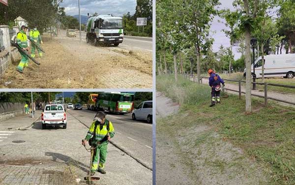 Campaña de desbroce para prevenir incendios en Alpedrete