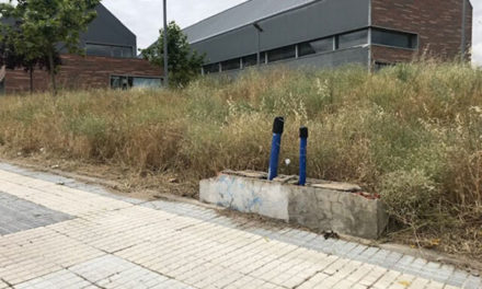 El PSOE denuncia falta de mantenimiento en la zona del Valle de la Oliva