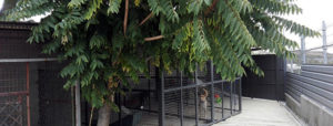 centro-proteccion-animal-torrelodones