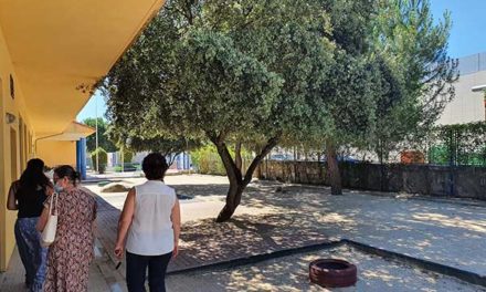 Limpieza y mantenimiento de los patios de las escuelas infantiles de Galapagar
