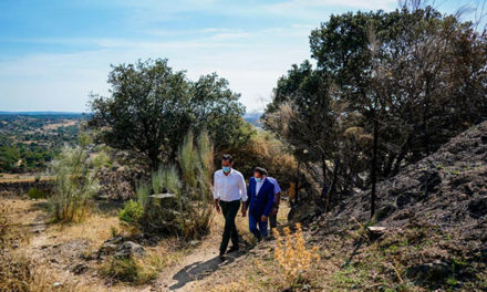 Aguado aboga por la colaboración entre instituciones para prevenir incendios