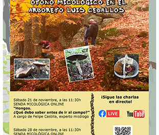 Exposetas 2020, otoño micológico en el Arboreto Luis Ceballos