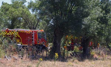 El Pleno de Guadarrama aprueba el PAMIF, actuación contra incendios forestales