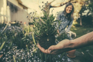 Majadahonda agrojardinería