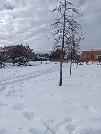oposición suspende Gobierno Torrelodones Filomena