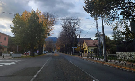 Comienza la remodelación del Paseo de la Alameda de Guadarrama