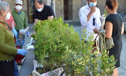 Reparto de árboles y jornada de plogging por el Día del Medio Ambiente en Guadarrama