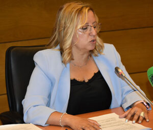 Gobierno Collado Villalba