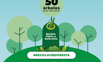 “Reciclo y reforesto” Ecovidrio inicia una campaña en 17 localidades para aumentar el reciclado