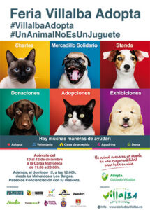 feria Villalba adopta