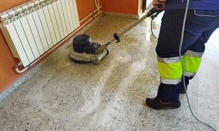 Nueve jóvenes comienzan su capacitación profesional en Guadarrama