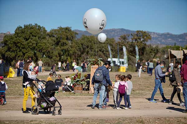 Entra en vigor la rebaja de impuestos para familias numerosas de Las Rozas