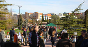 mercado-vecinal-las-rozas