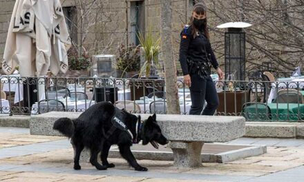 San Lorenzo organiza una exhibición con unidades caninas de policías locales