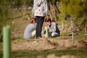 las-rozas-plantaran-arboles