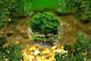galapagar-un-arbol-por-europa