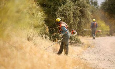 Las Rozas inicia una campaña de desbroces para minimizar el riesgo de incendios