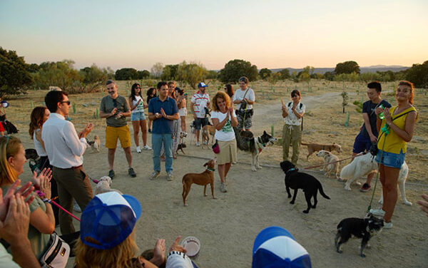 Las Rozas cuenta con 49 áreas caninas