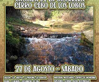 Ruta por el pinar de La Jarosa y Cerro Lobos