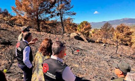 El poste de un tendido eléctrico pudo ser la causa del incendio en Collado Mediano