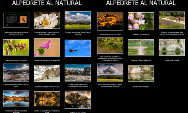 Alpedrete al natural, una exposición fotográfica recorre los paisajes de la localidad
