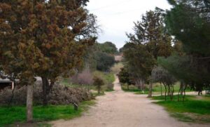 unidas-las-rozas-samuel-bronston