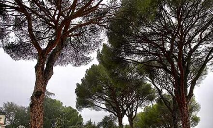 Las Rozas remodela la Glorieta de los Doce Apóstoles