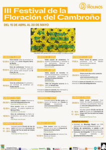 festival-cambrono-los-molinos