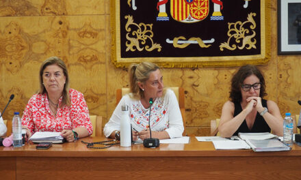 Torrelodones celebra Pleno ordinario de julio