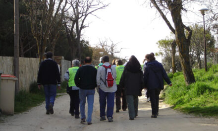 La Mancomunidad THAM y el Ayuntamiento de Torrelodones proponen nuevas rutas para Mayores