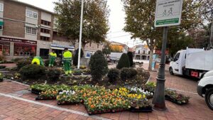 plantas Galapagar