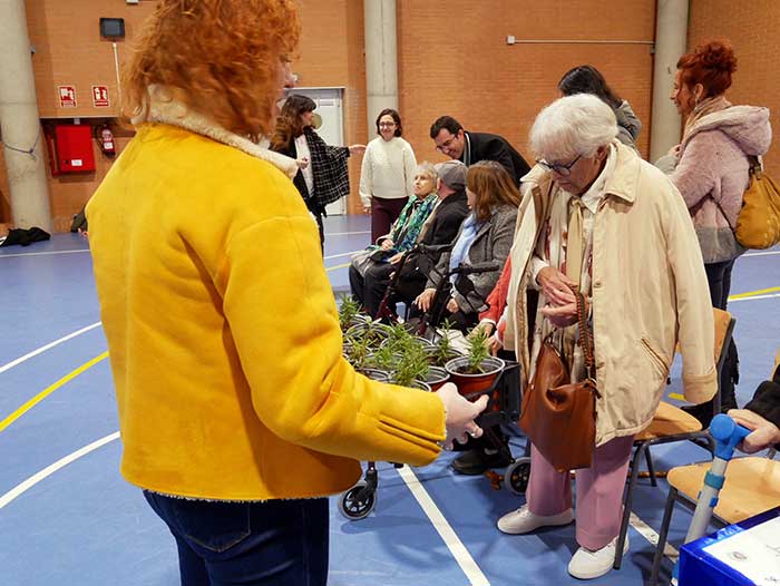 Más de 1.500 escolares de Las Rozas regalan plantas a los mayores