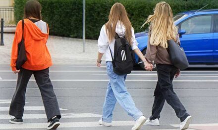 Las Rozas utilizará Inteligencia Artificial para hacer más accesibles y seguros los pasos de cebra