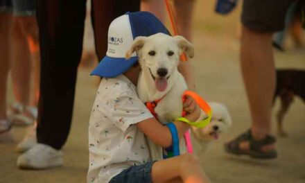Más de cien perros se reúnen este domingo en la CaniCross Las Rozas