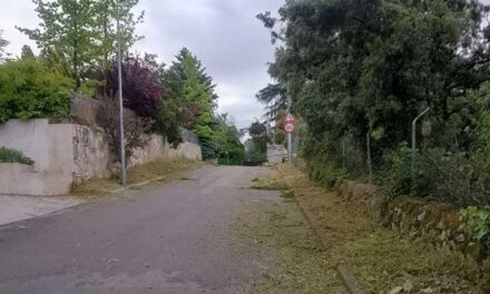 Torrelodones inicia el desbroce de 120.000 metros cuadrados de zonas verdes