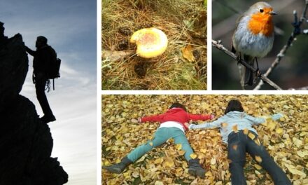 La Sierra de Guadarrama estará en la Feria de Otoño de Las Ventas junto a MadRural