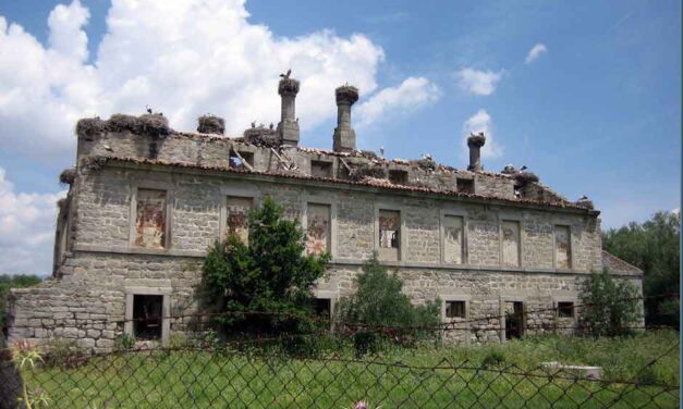 Más Madrid se moviliza para salvar la finca de Monesterio