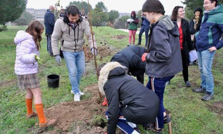 Quince embajadores europeos participan en una plantación de árboles en Las Rozas