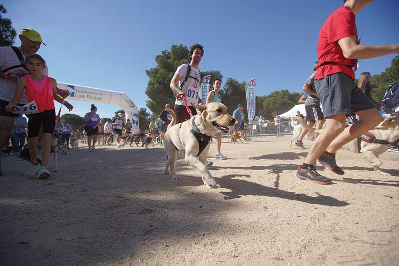CaniCross Las Rozas, una carrera no competitiva para los vecinos y sus perros
